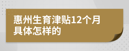 惠州生育津贴12个月具体怎样的