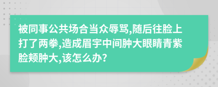 被同事公共场合当众辱骂,随后往脸上打了两拳,造成眉宇中间肿大眼睛青紫脸颊肿大,该怎么办？