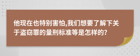 他现在也特别害怕,我们想要了解下关于盗窃罪的量刑标准等是怎样的？