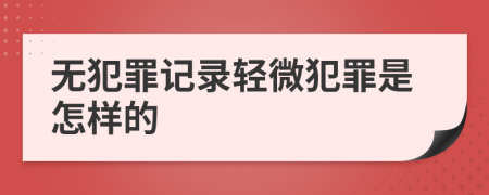 无犯罪记录轻微犯罪是怎样的