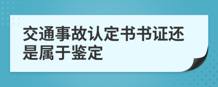 交通事故认定书书证还是属于鉴定