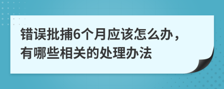 错误批捕6个月应该怎么办，有哪些相关的处理办法