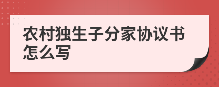 农村独生子分家协议书怎么写