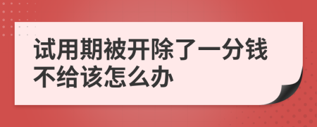 试用期被开除了一分钱不给该怎么办