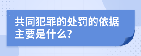 共同犯罪的处罚的依据主要是什么？