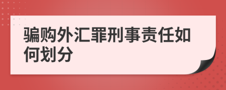 骗购外汇罪刑事责任如何划分