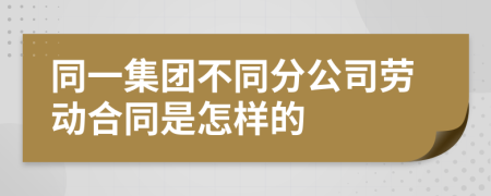 同一集团不同分公司劳动合同是怎样的