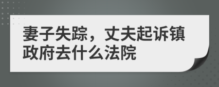 妻子失踪，丈夫起诉镇政府去什么法院