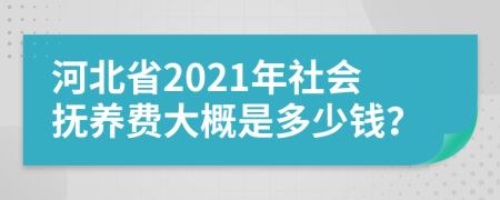 河北省2021年社会抚养费大概是多少钱？