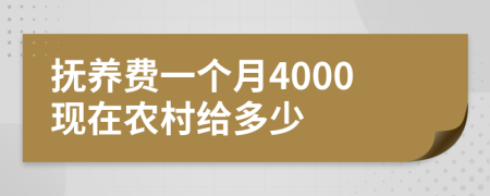 抚养费一个月4000现在农村给多少