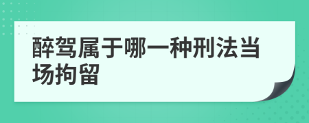 醉驾属于哪一种刑法当场拘留