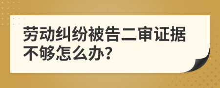 劳动纠纷被告二审证据不够怎么办？