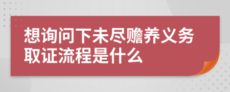 想询问下未尽赡养义务取证流程是什么