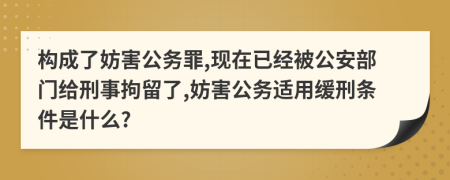 构成了妨害公务罪,现在已经被公安部门给刑事拘留了,妨害公务适用缓刑条件是什么?