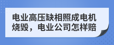 电业高压缺相照成电机烧毁，电业公司怎样赔