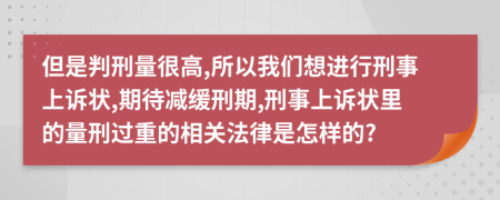 但是判刑量很高,所以我们想进行刑事上诉状,期待减缓刑期,刑事上诉状里的量刑过重的相关法律是怎样的?