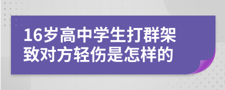 16岁高中学生打群架致对方轻伤是怎样的