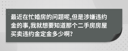 最近在忙婚房的问题呢,但是涉嫌违约金的事,我就想要知道那个二手房房屋买卖违约金定金多少啊？