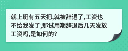 就上班有五天把,就被辞退了,工资也不给我发了,那试用期辞退后几天发放工资吗,是如何的？