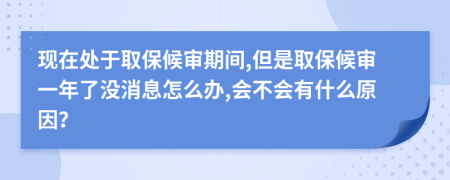 现在处于取保候审期间,但是取保候审一年了没消息怎么办,会不会有什么原因？