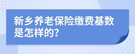 新乡养老保险缴费基数是怎样的？