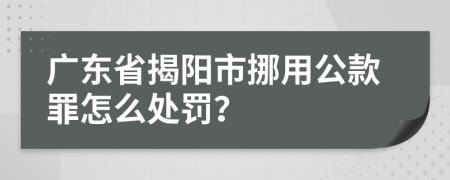 广东省揭阳市挪用公款罪怎么处罚？