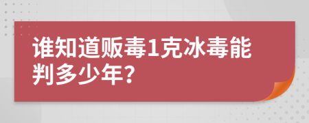 谁知道贩毒1克冰毒能判多少年？