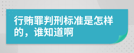 行贿罪判刑标准是怎样的，谁知道啊