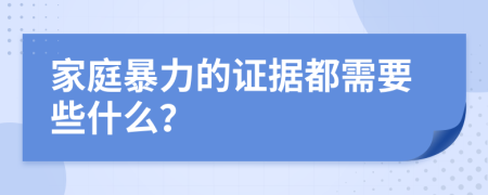 家庭暴力的证据都需要些什么？