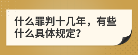 什么罪判十几年，有些什么具体规定？