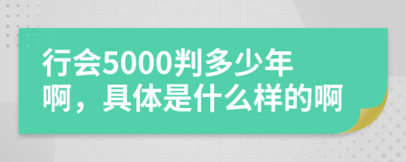 行会5000判多少年啊，具体是什么样的啊