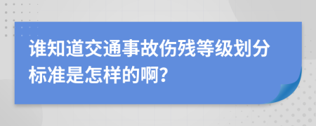 谁知道交通事故伤残等级划分标准是怎样的啊？