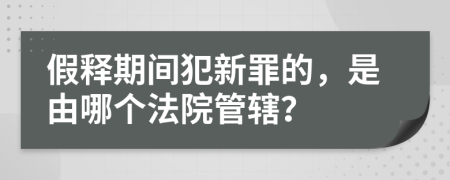 假释期间犯新罪的，是由哪个法院管辖？