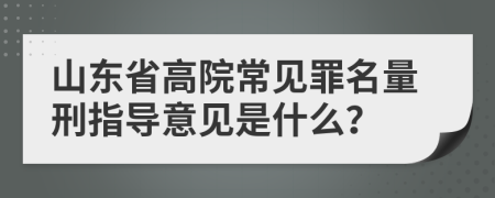 山东省高院常见罪名量刑指导意见是什么？