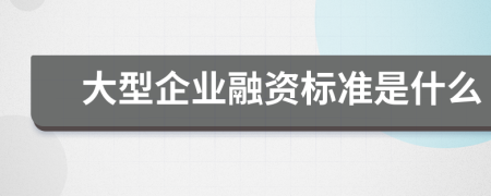 大型企业融资标准是什么