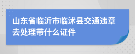 山东省临沂市临沭县交通违章去处理带什么证件