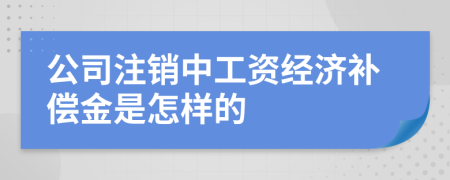公司注销中工资经济补偿金是怎样的