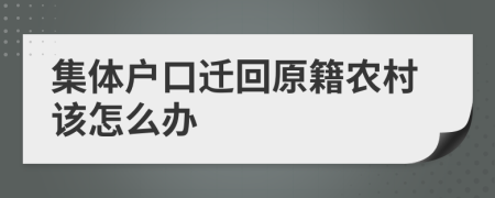 集体户口迁回原籍农村该怎么办