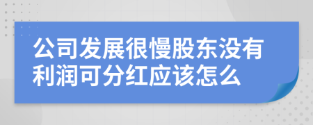 公司发展很慢股东没有利润可分红应该怎么