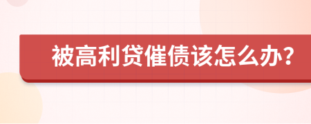 被高利贷催债该怎么办？