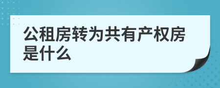 公租房转为共有产权房是什么