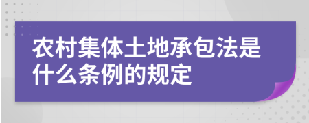农村集体土地承包法是什么条例的规定