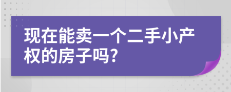 现在能卖一个二手小产权的房子吗?