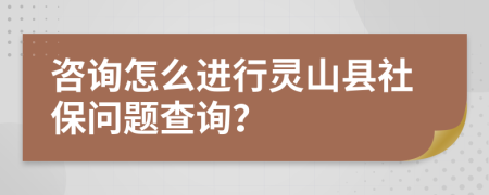 咨询怎么进行灵山县社保问题查询？