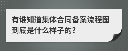 有谁知道集体合同备案流程图到底是什么样子的？