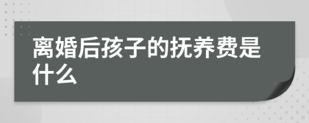 离婚后孩子的抚养费是什么