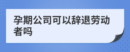 孕期公司可以辞退劳动者吗