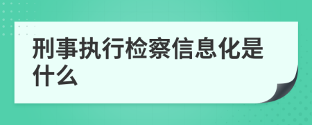 刑事执行检察信息化是什么