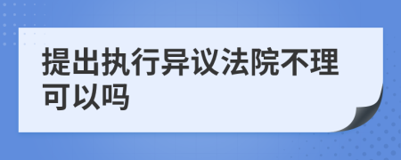 提出执行异议法院不理可以吗