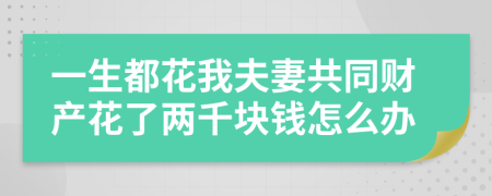 一生都花我夫妻共同财产花了两千块钱怎么办